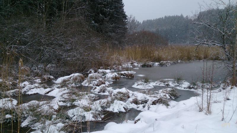 2015-02-01-rottweil_snow