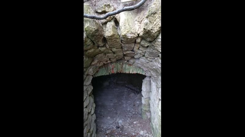 2017-03-09-rottweil_forest_crypt