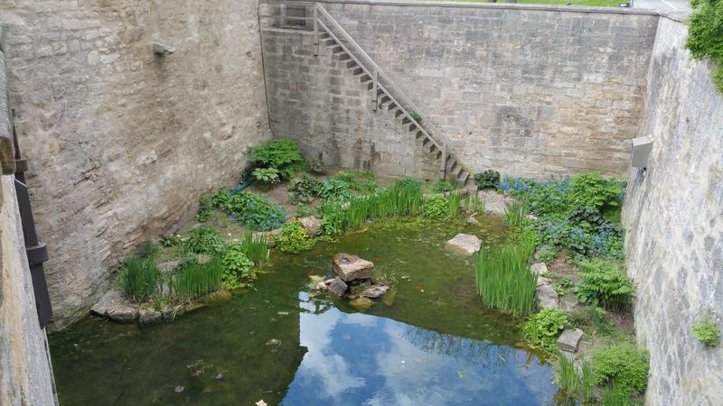 2017-05-13-rothenburg-moat_garden-3