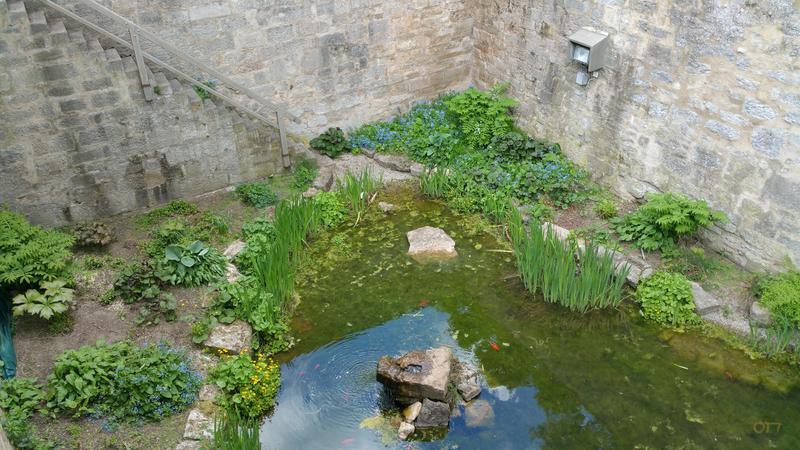 2017-05-13-rothenburg-moat_garden